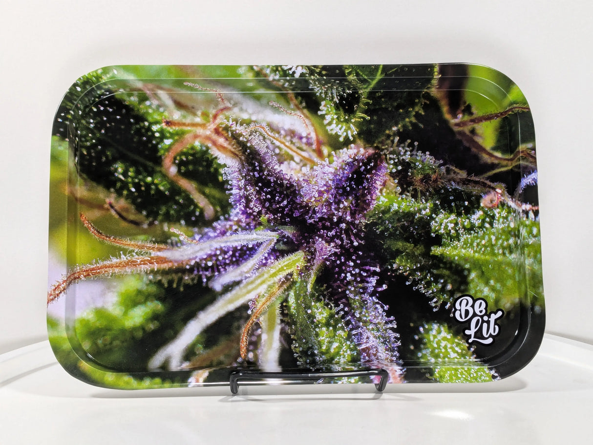 Be Lit: Medium Trays