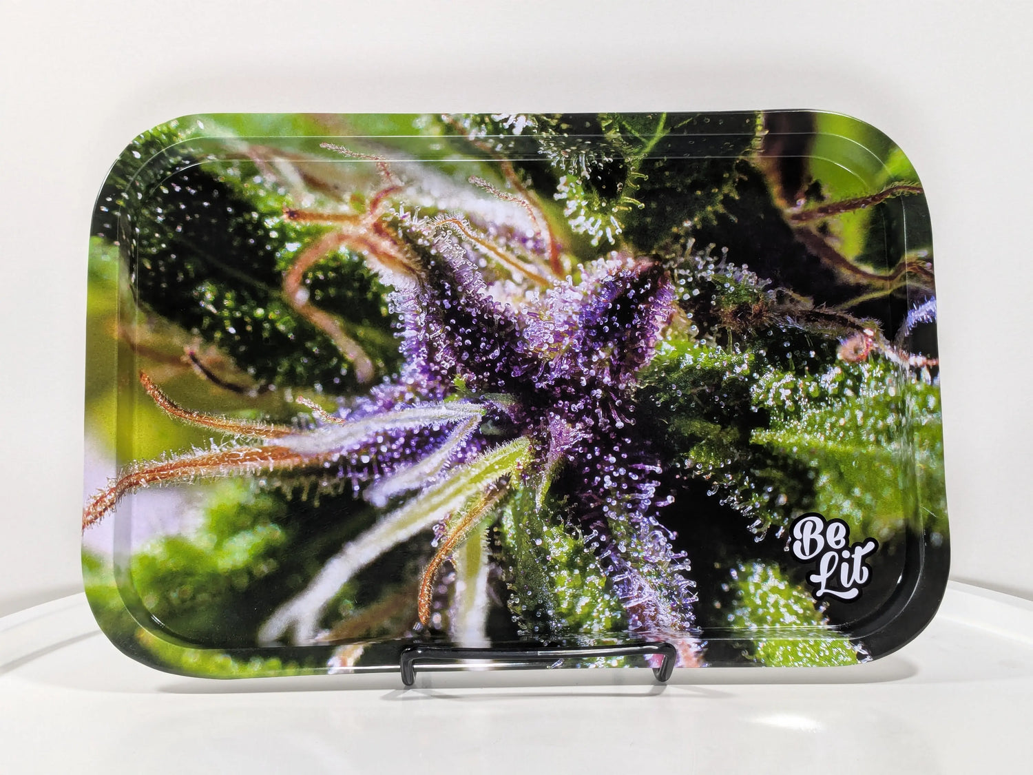 Be Lit: Medium Trays