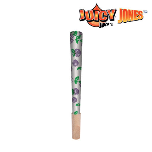 Juicy Jay Cone-Blackberry